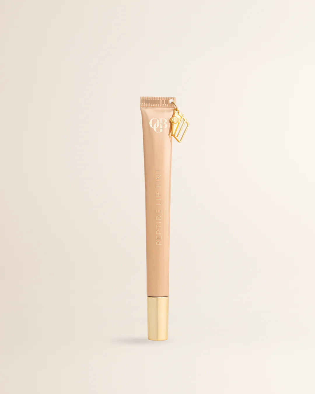 Alternative image description